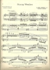 Picture of Stormy Weather, T. Koehler & H. Arlen, concert paraphrase for piano solo by Solito de Solis, sheet music