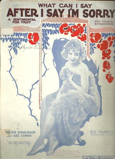Picture of What Can I Say After I Say I'm Sorry, Walter Donaldson & Abe Lyman, sheet music