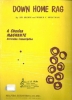 Picture of Down Home Rag, Lew Brown & W. C. Sweatman, arr. for accordion solo by Charles Magnante, sheet music