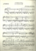 Picture of Andalucia, Ernesto Lecuona, arr. Charles Magnante, accordion solo sheet music