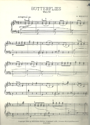 Picture of Butterflies, Adelmo Melecci, piano solo