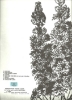 Picture of Antonio Carlos Jobim, Stone Flower (Stoneflower), piano vocal guitar sheet music songbook