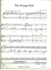 Picture of The Strange Bird & Ojibway Rain Dance, Court Stone, piano solo