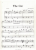Picture of Sergei Prokofieff (Prokofiev), Peter and the Wolf, simplified by Richard Bradley, big note sheet music piano folio, colouring book