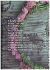 Picture of Blue Rodeo Songbook Volume 3, Five Days in July, sheet music songbook, coil bound