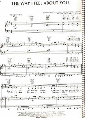 Picture of The Way I Feel About You, Christopher Troy/ Zach Harmon/ Bruce Sterling, recorded by Karyn White, sheet music