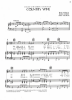 Picture of Country Wine, Wanda Watkins & Ed Villareal, performed by The Raiders, pdf copy