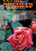 Picture of Cat's Eye in the Window, Tommy James & Bob King, pdf copy