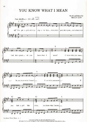 Picture of You Know What I Mean, Mickey Jupp, recorded by Ricky Nelson, sheet music