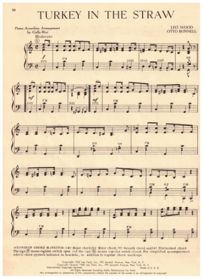 Picture of Turkey in the Straw, Leo Wood & Otto Bonnell, arr. for accordion solo by Galla-Rini, sheet music