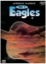 Picture of Eagles Vol. 1, Acoustic Classics, authentic Guitar-TAB Edition