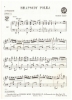 Picture of Rhapsody Polka, Pietro Deiro, accordion solo sheet music